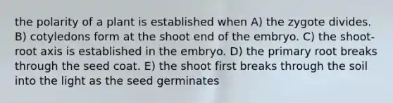 the polarity of a plant is established when A) the zygote divides. B) cotyledons form at the shoot end of the embryo. C) the shoot-root axis is established in the embryo. D) the primary root breaks through the seed coat. E) the shoot first breaks through the soil into the light as the seed germinates