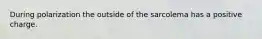 During polarization the outside of the sarcolema has a positive charge.