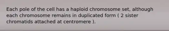 Each pole of the cell has a haploid chromosome set, although each chromosome remains in duplicated form ( 2 sister chromatids attached at centromere ).