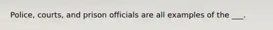 Police, courts, and prison officials are all examples of the ___.