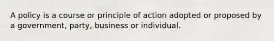 A policy is a course or principle of action adopted or proposed by a government, party, business or individual.