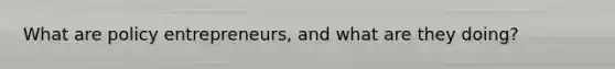What are policy entrepreneurs, and what are they doing?