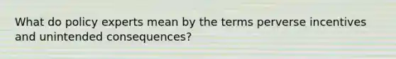 What do policy experts mean by the terms perverse incentives and unintended consequences?