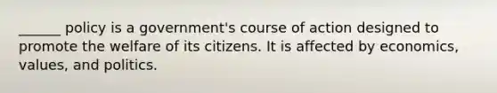 ______ policy is a government's course of action designed to promote the welfare of its citizens. It is affected by economics, values, and politics.