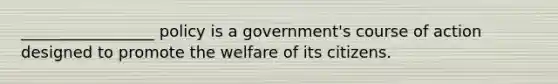 _________________ policy is a government's course of action designed to promote the welfare of its citizens.