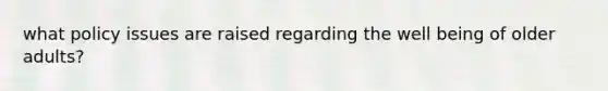 what policy issues are raised regarding the well being of older adults?