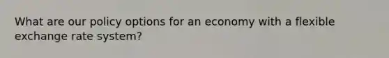 What are our policy options for an economy with a flexible exchange rate system?