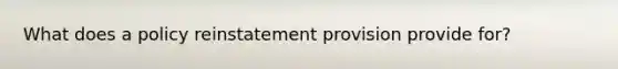 What does a policy reinstatement provision provide for?