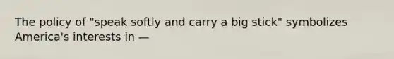 The policy of "speak softly and carry a big stick" symbolizes America's interests in —