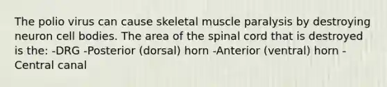 The polio virus can cause skeletal muscle paralysis by destroying neuron cell bodies. The area of the spinal cord that is destroyed is the: -DRG -Posterior (dorsal) horn -Anterior (ventral) horn -Central canal