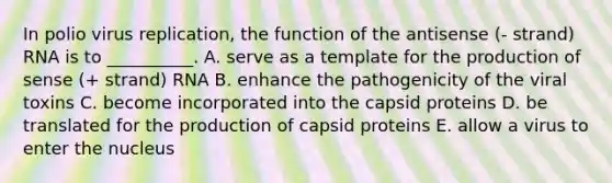 In polio virus replication, the function of the antisense (- strand) RNA is to __________. A. serve as a template for the production of sense (+ strand) RNA B. enhance the pathogenicity of the viral toxins C. become incorporated into the capsid proteins D. be translated for the production of capsid proteins E. allow a virus to enter the nucleus