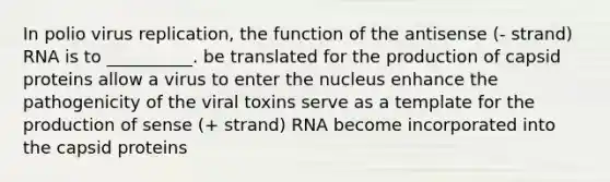 In polio virus replication, the function of the antisense (- strand) RNA is to __________. be translated for the production of capsid proteins allow a virus to enter the nucleus enhance the pathogenicity of the viral toxins serve as a template for the production of sense (+ strand) RNA become incorporated into the capsid proteins