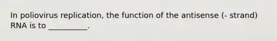 In poliovirus replication, the function of the antisense (- strand) RNA is to __________.