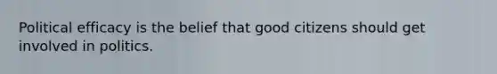 Political efficacy is the belief that good citizens should get involved in politics.