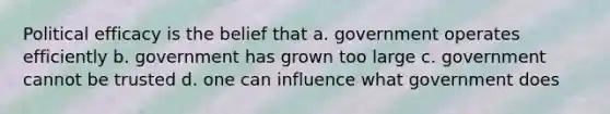 Political efficacy is the belief that a. government operates efficiently b. government has grown too large c. government cannot be trusted d. one can influence what government does