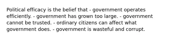 Political efficacy is the belief that - government operates efficiently. - government has grown too large. - government cannot be trusted. - ordinary citizens can affect what government does. - government is wasteful and corrupt.