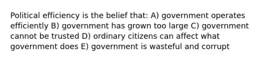 Political efficiency is the belief that: A) government operates efficiently B) government has grown too large C) government cannot be trusted D) ordinary citizens can affect what government does E) government is wasteful and corrupt