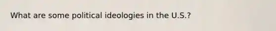 What are some political ideologies in the U.S.?