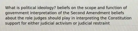 What is <a href='https://www.questionai.com/knowledge/kFKhV6szLO-political-ideology' class='anchor-knowledge'>political ideology</a>? beliefs on the scope and function of government interpretation of the Second Amendment beliefs about the role judges should play in interpreting the Constitution support for either judicial activism or judicial restraint