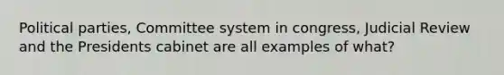 Political parties, Committee system in congress, Judicial Review and the Presidents cabinet are all examples of what?