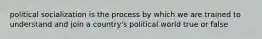 political socialization is the process by which we are trained to understand and join a country's political world true or false