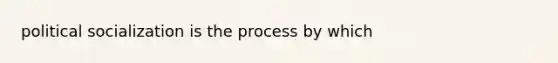 political socialization is the process by which