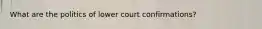 What are the politics of lower court confirmations?