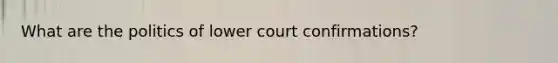 What are the politics of lower court confirmations?