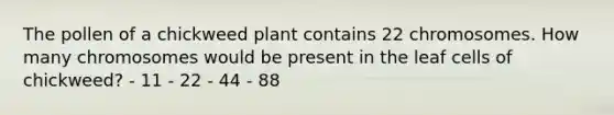 The pollen of a chickweed plant contains 22 chromosomes. How many chromosomes would be present in the leaf cells of chickweed? - 11 - 22 - 44 - 88