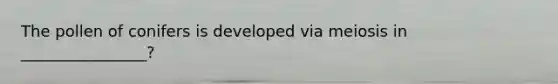 The pollen of conifers is developed via meiosis in ________________?