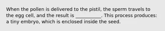 When the pollen is delivered to the pistil, the sperm travels to the egg cell, and the result is ___________. This process produces: a tiny embryo, which is enclosed inside the seed.