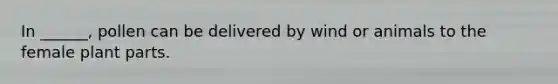 In ______, pollen can be delivered by wind or animals to the female plant parts.