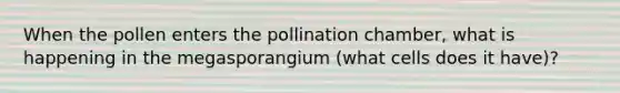 When the pollen enters the pollination chamber, what is happening in the megasporangium (what cells does it have)?