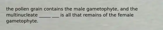 the pollen grain contains the male gametophyte, and the multinucleate _____ ___ is all that remains of the female gametophyte.