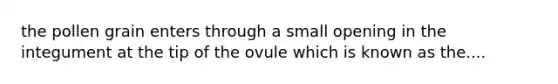 the pollen grain enters through a small opening in the integument at the tip of the ovule which is known as the....