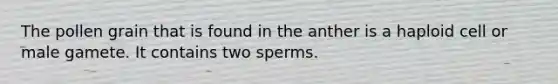 The pollen grain that is found in the anther is a haploid cell or male gamete. It contains two sperms.