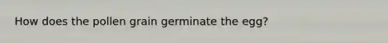 How does the pollen grain germinate the egg?