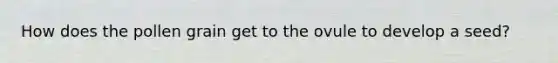 How does the pollen grain get to the ovule to develop a seed?