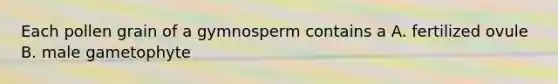 Each pollen grain of a gymnosperm contains a A. fertilized ovule B. male gametophyte