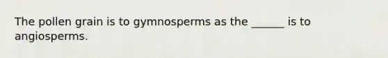 The pollen grain is to gymnosperms as the ______ is to angiosperms.