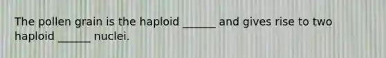 The pollen grain is the haploid ______ and gives rise to two haploid ______ nuclei.