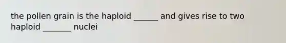 the pollen grain is the haploid ______ and gives rise to two haploid _______ nuclei