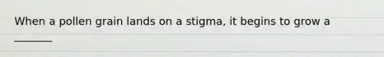 When a pollen grain lands on a stigma, it begins to grow a _______