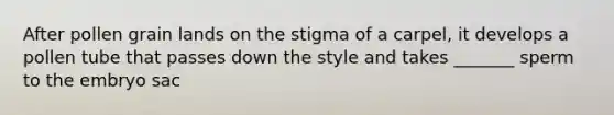 After pollen grain lands on the stigma of a carpel, it develops a pollen tube that passes down the style and takes _______ sperm to the embryo sac