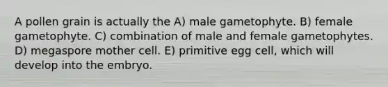 A pollen grain is actually the A) male gametophyte. B) female gametophyte. C) combination of male and female gametophytes. D) megaspore mother cell. E) primitive egg cell, which will develop into the embryo.