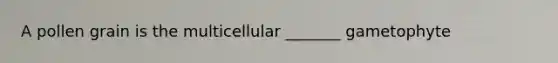 A pollen grain is the multicellular _______ gametophyte