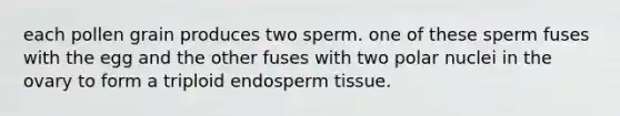 each pollen grain produces two sperm. one of these sperm fuses with the egg and the other fuses with two polar nuclei in the ovary to form a triploid endosperm tissue.