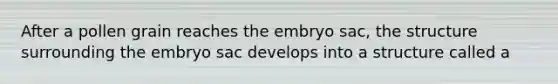 After a pollen grain reaches the embryo sac, the structure surrounding the embryo sac develops into a structure called a