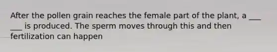 After the pollen grain reaches the female part of the plant, a ___ ___ is produced. The sperm moves through this and then fertilization can happen