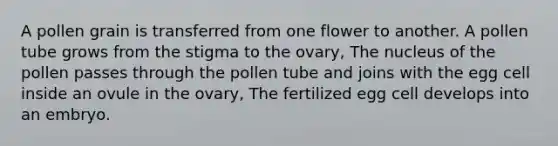 A pollen grain is transferred from one flower to another. A pollen tube grows from the stigma to the ovary, The nucleus of the pollen passes through the pollen tube and joins with the egg cell inside an ovule in the ovary, The fertilized egg cell develops into an embryo.